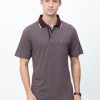 T-Shirts Classic Polo | Classic Polo Mens Cotton Half Sleeves Striped Authentic Fit Polo Neck Maroon Color T-Shirt | Rare - 07 A Af P